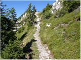 Mountain hut on farm Kumer - Govca (Olševa)